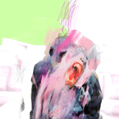 Visual: Nackter Affe (2016)
